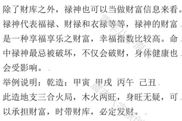 63岁兔子的命运解析：探究命理与生活的深刻联系