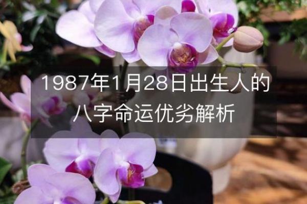 1987年出生的生肖与纳音：命运的奇妙交织