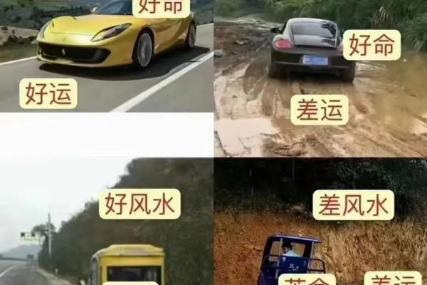 探讨命理：哪些地支能为你的人生增添福气与好运？