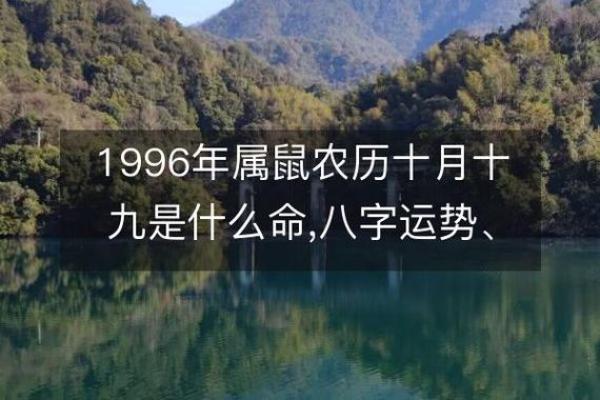 96年农历三月出生的人命运解析与性格特征