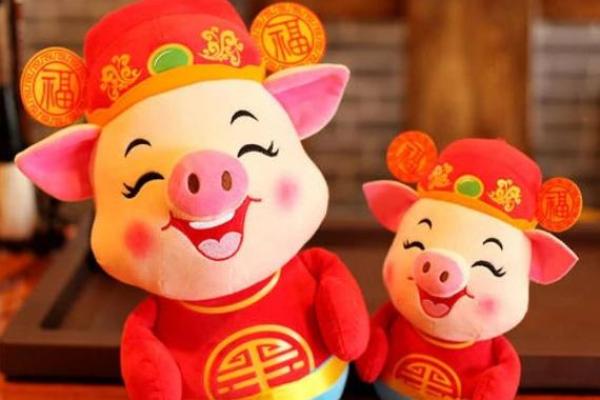 2019年属猪人的命理分析：五行运势与生活指导