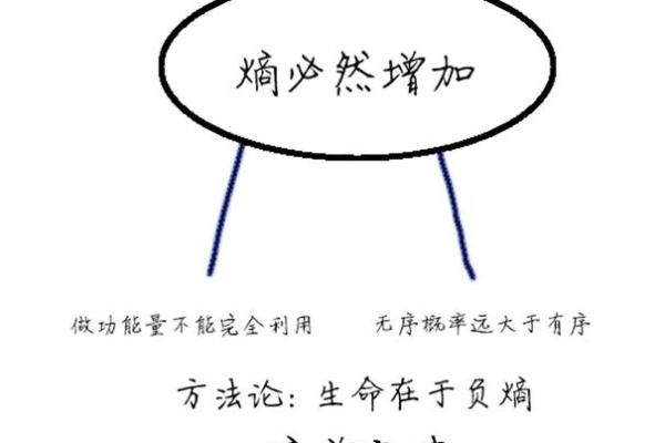 探索和尚命格书店：灵性成长与命运启示的绝佳选择