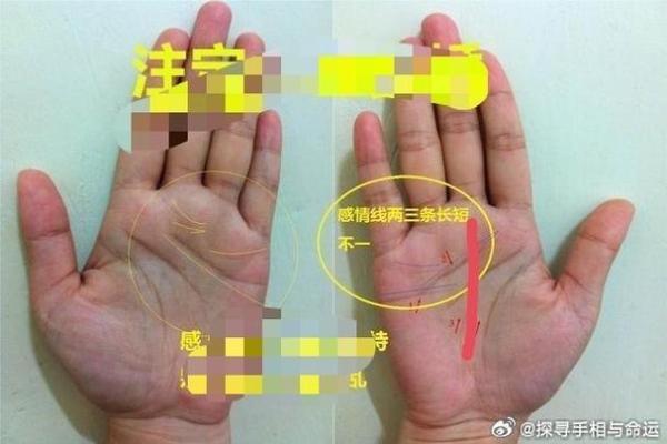 揭秘手相的奥秘：从你的掌纹看命运走向！