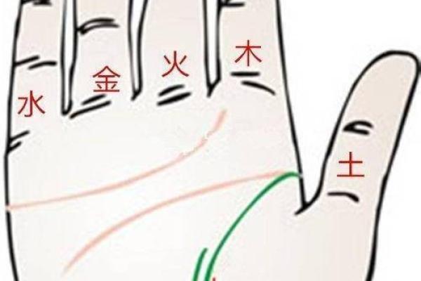 揭秘手相：谁是漂泊命的命运旅者？