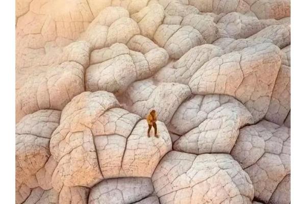 探寻辛丑月戊子日命理的奥秘与人生启示