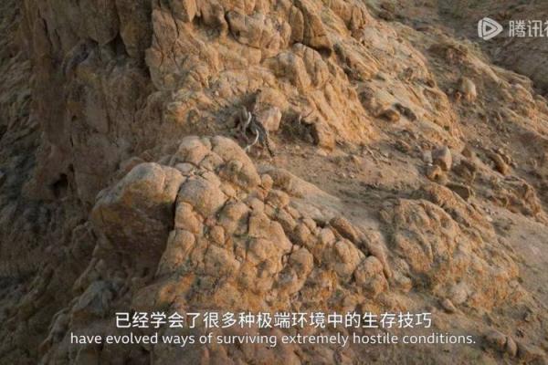 1997年出生的人命理解析：如何把握命运的脉动与成长之路