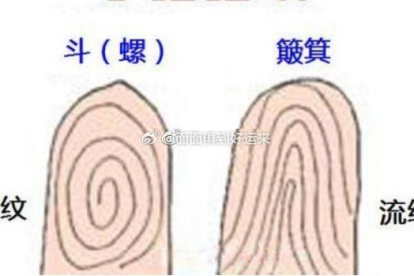 通过指纹揭秘命运：指纹背后的命理奥秘与我们的生活