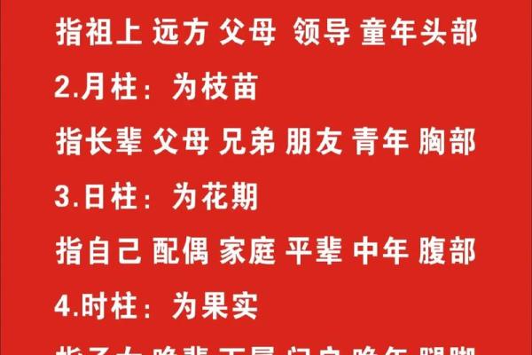 82年属狗男性的命理解读与人生指导 82年属狗男性的命理解读与人生指导