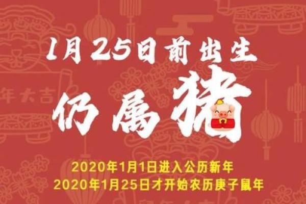 2020年庚子鼠年分析：命运与性格的深刻启示