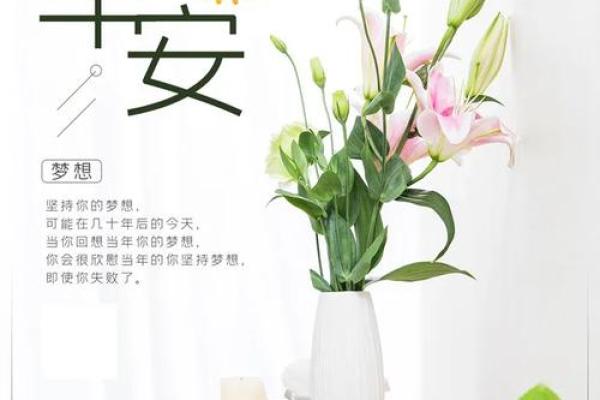 面对命运，女生心中的坚持与梦想探寻