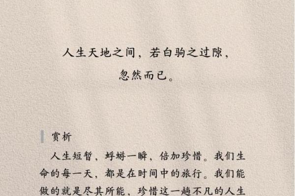 探索每月26日出生者的命格与运势，揭示人生旅程的秘密！