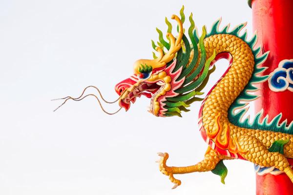 牛年出生的女孩命运分析：智慧与坚韧的结合之美