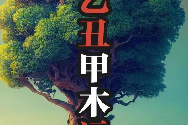 庚午甲申乙丑：三种命理的深邃奥秘与人生启示
