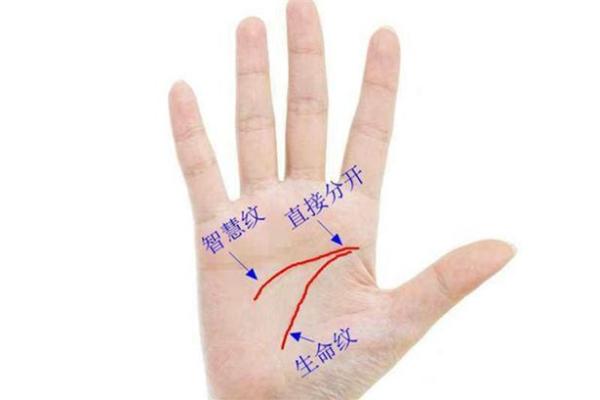 探秘断掌命：有断掌的人背后的神秘运势与生活特征
