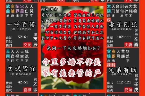 探索玄学中的阳刚之命：揭示男性命理的深层奥秘