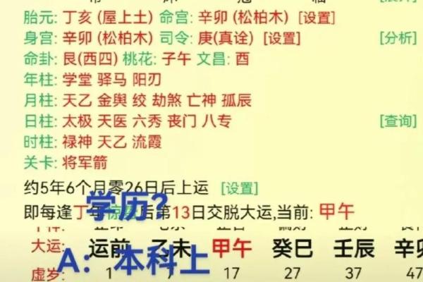 探秘甲午合己未的命理奥秘与人生启示