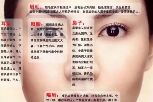 解密2001年12月出生者的命运与性格特点