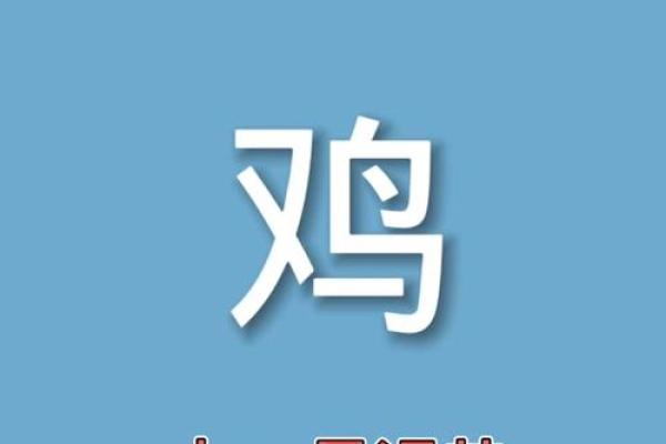 2017年属鸡的人生命运解读：如何把握运势与机遇