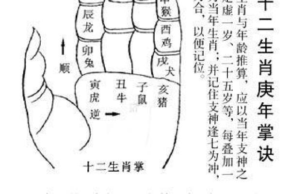 探讨土木命与属相的完美结合，让生活更顺畅