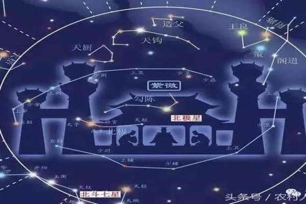 贪狼命主性格解析：热情似火，魅力四射的个体特征
