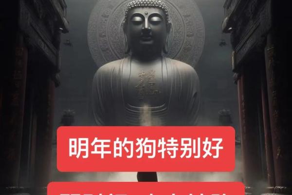 1982年属狗女：性格与命运的独特密码