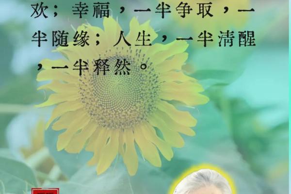 生于1977年：寻觅人生中的物质与精神双重财富