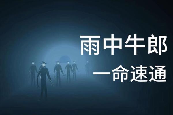 牛郎：命运中的浪漫与智慧的象征