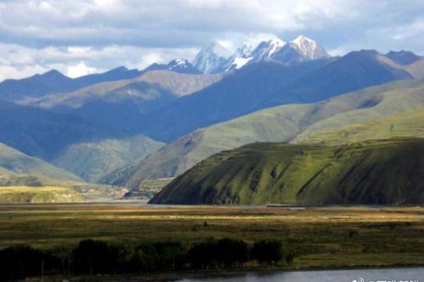 命里有官运:探索命理学中的权威与成就之道 命里有官运:探索命理学中的权威与成就之道