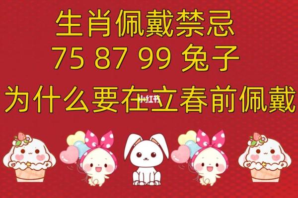 1993年属兔之命：温文尔雅与成功人生的启示