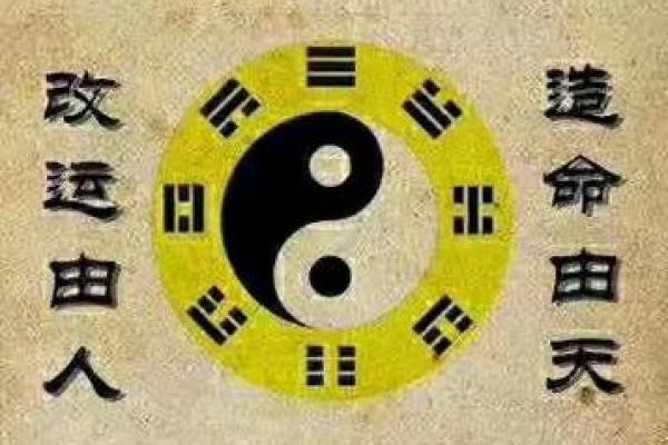 阳金命适合从事哪些行业？探索职业选择与命理的奥秘！