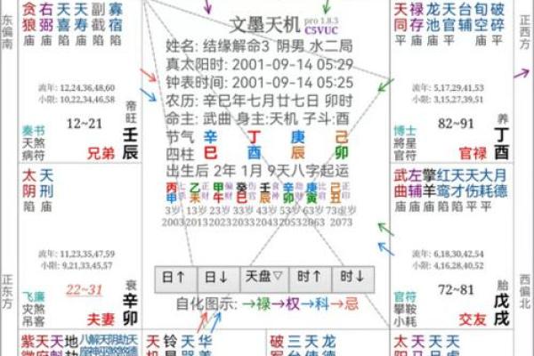 探秘紫薇命盘：为何这些人总是口才出众，嘴巴甜？