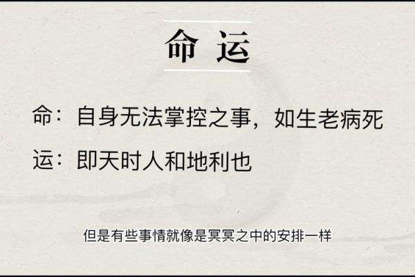 俩鼻孔向上的命运解析：风水与个性提升之路