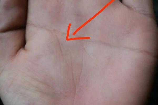 女人左手断掌纹的命运解析与影响