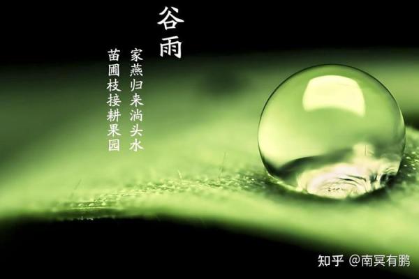 命里缺水，如何选择合适珠子来调和运势？