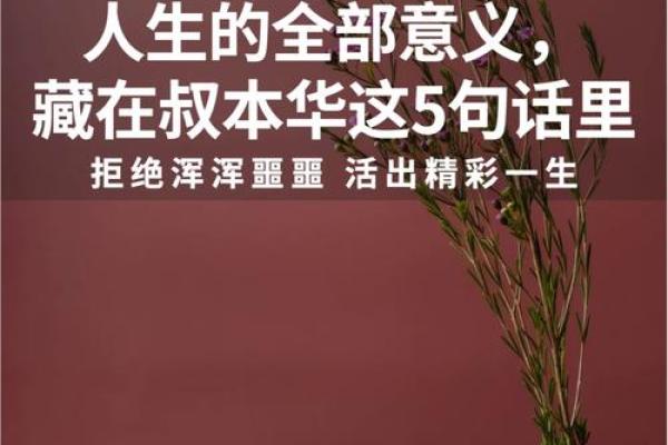 探寻张文命名背后的意义与人生哲学