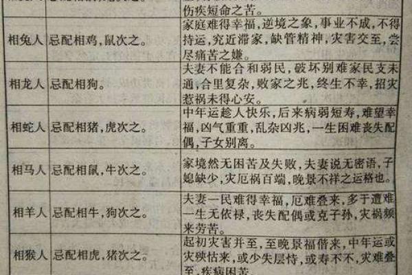 鼠年出生者的命理解析：揭开命运的神秘面纱