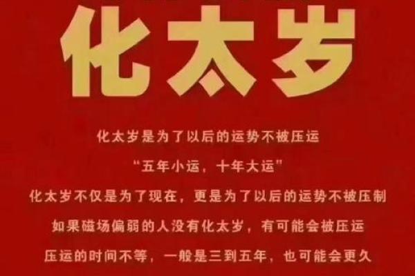 1994年农历生肖和命理：揭示生肖狗的性格与命运之路