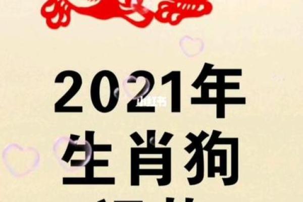 明年是什么命年？揭秘2021年的生肖运势与生活指导
