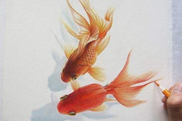命理中的水族情缘：适合养哪种鱼，助你运势大开！