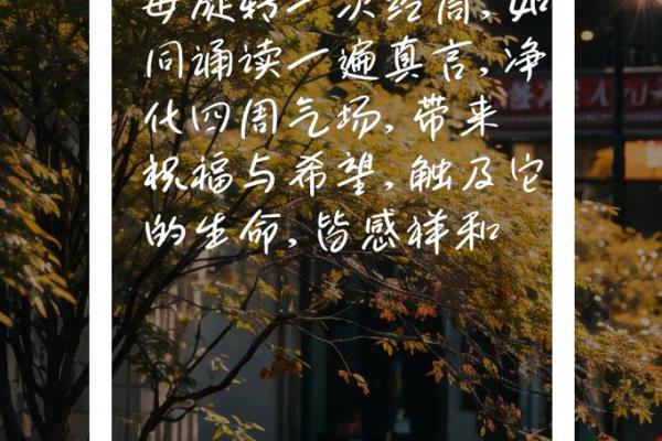 童子命修行：推荐的经文与心灵成长之路
