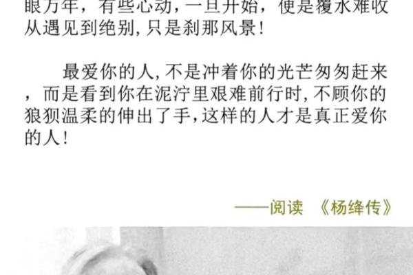 关于《不是命》的深度解读与思考:爱与人生的交织 关于《不是命》的深度解读与思考:爱与人生的交织