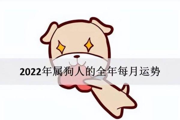 属狗人在2023年多大？命运与运势剖析