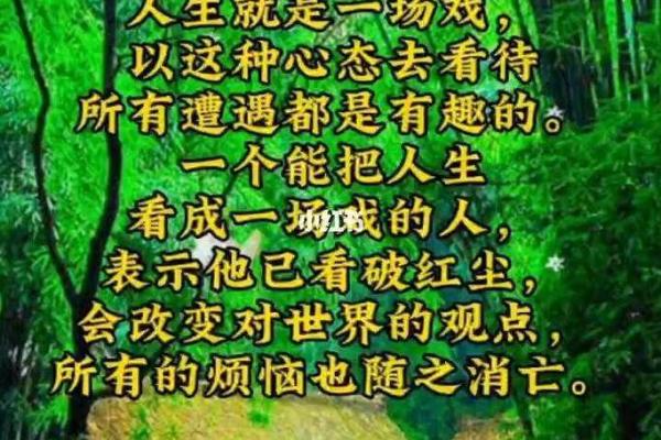 男人骨头软的人命运分析：性格与人生的深刻联系