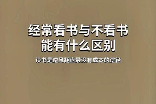 大海水命的数字喜好与生活智慧探索