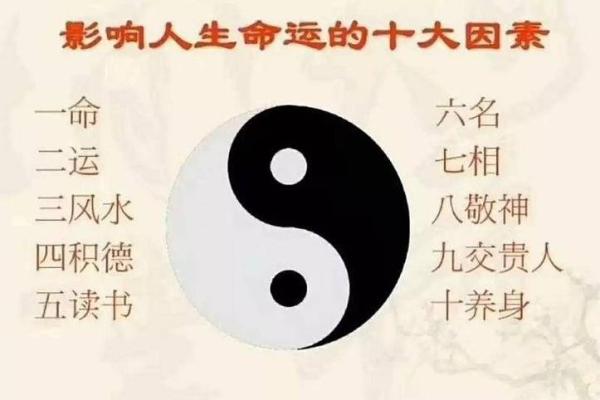 1986年出生的人命运解析：了解你的命运之旅与如何趋吉避凶
