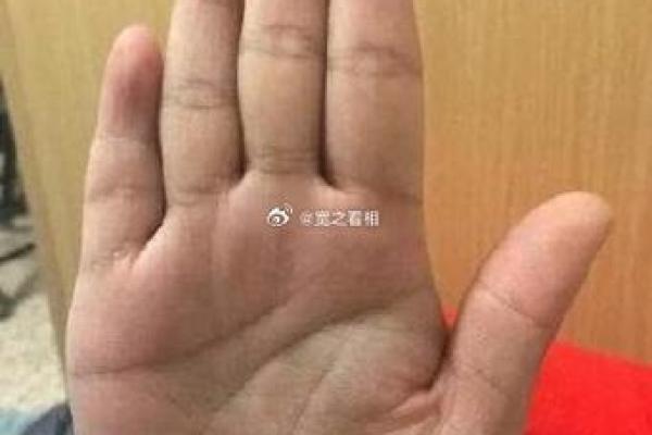 命主星解析：探寻星座中隐藏的生命智慧和个性魅力