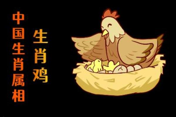 1971年属鸡的命运与性格分析：揭开你命中的秘密！