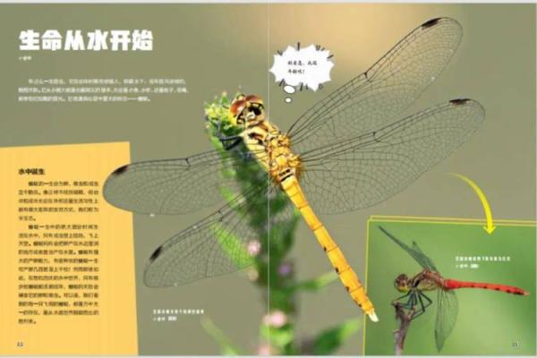 命里水多的宝宝取名宝典：与水相融的美好人生