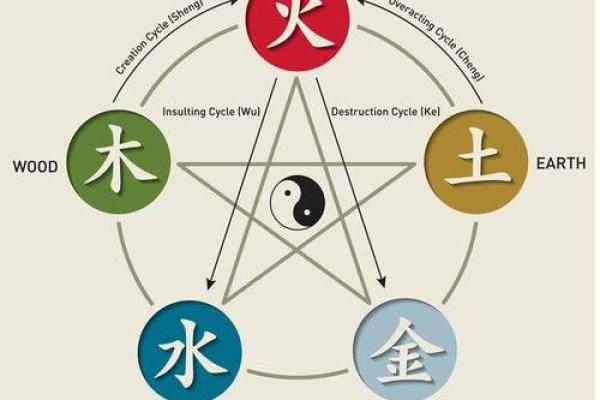 关于2023年出生的小孙，属什么命？探讨五行与命理的奥秘