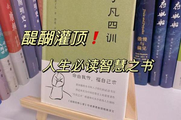 1981年属鸡人的命运与性格解析，探寻人生智慧与成功之路！